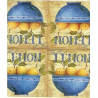 ФРУКТ-21005 25*25