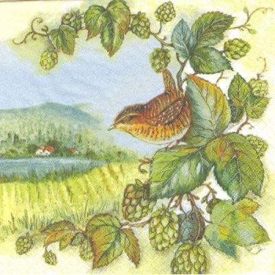 ПТИЦ-4565 33*33