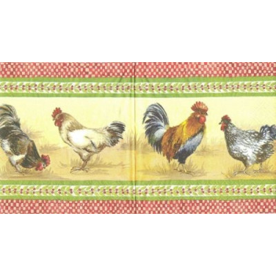 ПТИЦ-5494 33*33