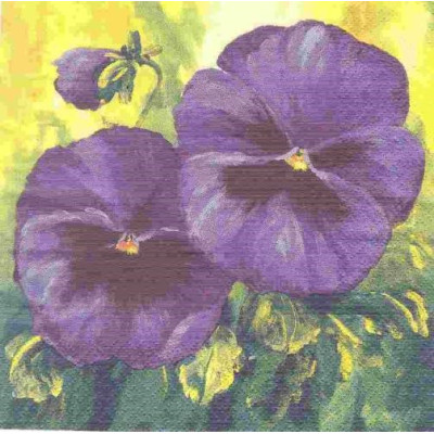 ЦВЕТвес-34702 33*33