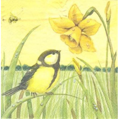 ПТИЦ-28364 33*33