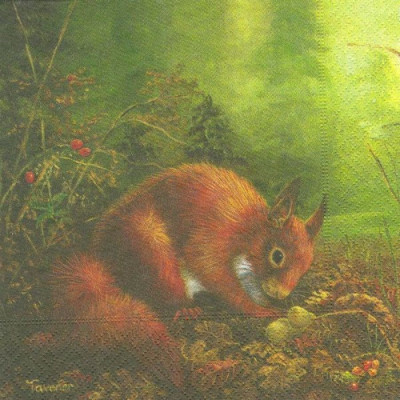 ЖИВразн-2235 33*33