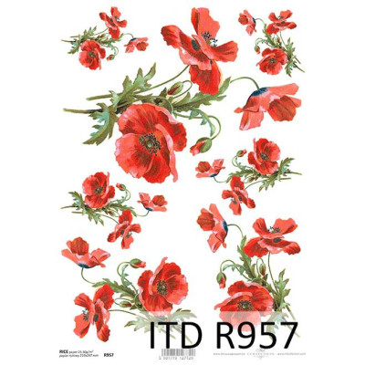 Бумага рисовая ITD A4 - R957