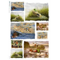 Kalit 32*45см - ANI_0079