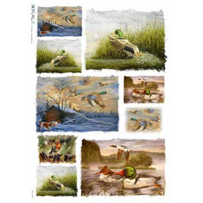Kalit 32*45см - ANI_0079
