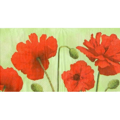 ЦВЕТпол-20032 33*33