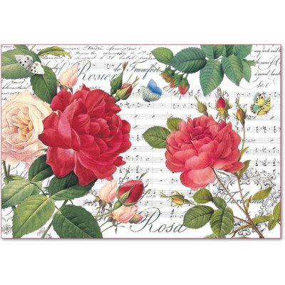 Stamperia 33*48см - DFS397