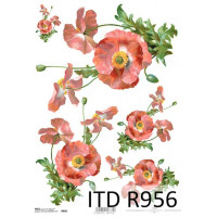 Бумага рисовая ITD A4 - R956