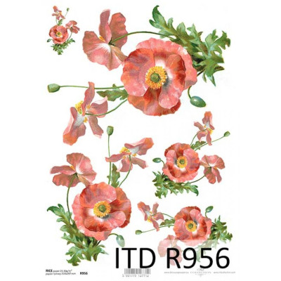 Бумага рисовая ITD A4 - R956