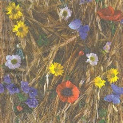 ЦВЕТпол-21971 33*33