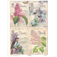 Craftskrynia  A4 002432
