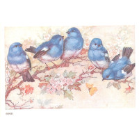 Craftskrynia  A5 000621