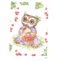 Craftskrynia  A5 003532