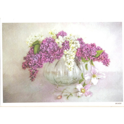 Craftskrynia  A5 001630