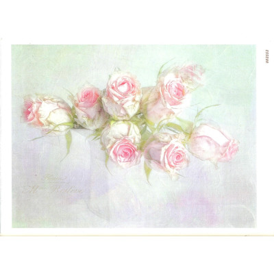 Craftskrynia  A5 003553