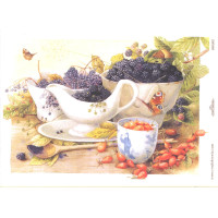 Craftskrynia  A4 000302
