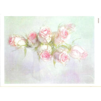 Craftskrynia  A4 003553