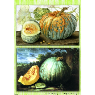 Mondodecoupage 30*40см - FR035G