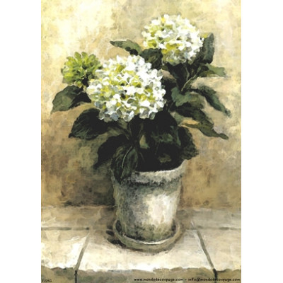 Mondodecoupage 30*40см - F225G