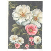 Craftskrynia  A4 003355