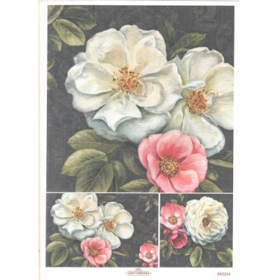Craftskrynia  A4 003355