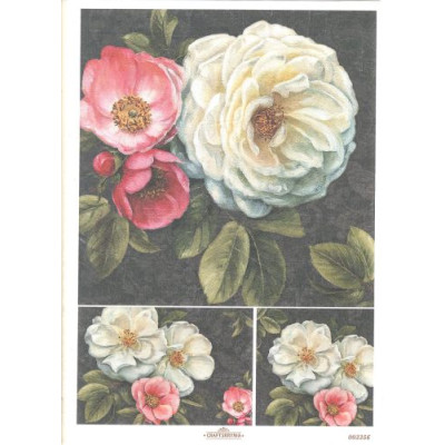 Craftskrynia  A4 003356