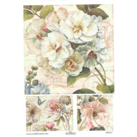 Craftskrynia  A4 000551