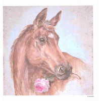Craftskrynia  20*20  003909
