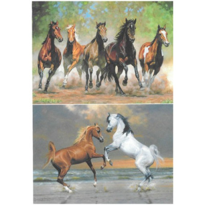 Impressio А4 26730