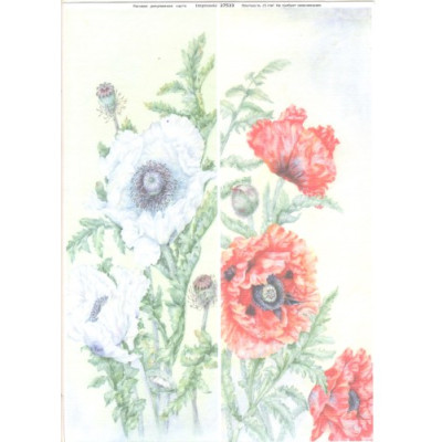 Impressio А4 27533