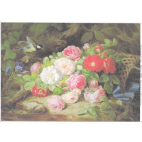 Impressio А4 27538