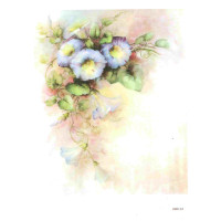 Craftskrynia  A5 000113