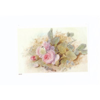 Craftskrynia  A5 000307