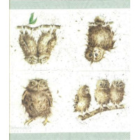ПТИЦ-31261 25*25