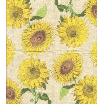 ПОДСОЛН-26913 25*25