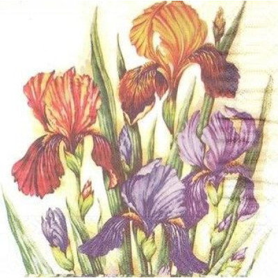 ЦВЕТвес-31282 33*33