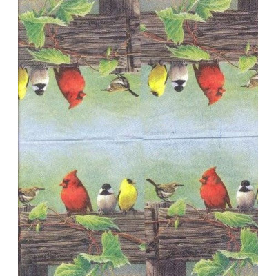 ПТИЦ-23704 25*25