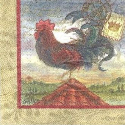 ПТИЦ-26772 33*33