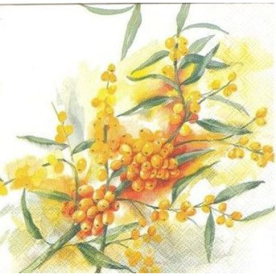 ЛИСТ-24172 33*33