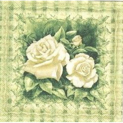 РОЗ-23571 25*25