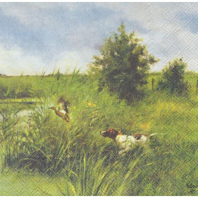 РАЗН-32543 33*33
