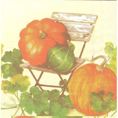 ОВОЩ-32575 33*33