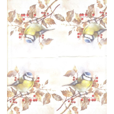 ПТИЦ-32670 25*25