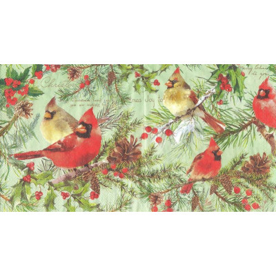 ПТИЦ-33002 33*33