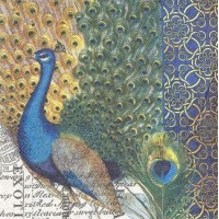 ПТИЦ-23092 33*33