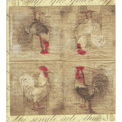 ПТИЦ-33200 25*25