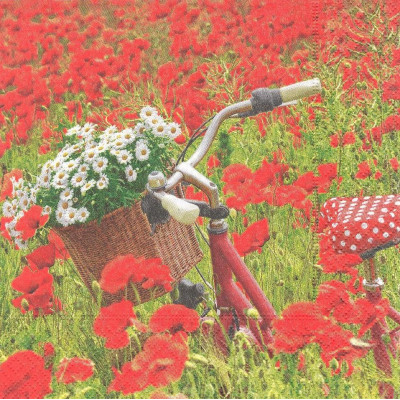 ЦВЕТпол-33273 33*33