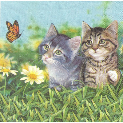 ЖИВдом-33320 33*33