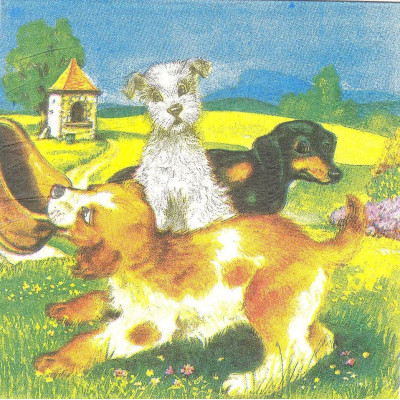 ЖИВдом-33326 33*33