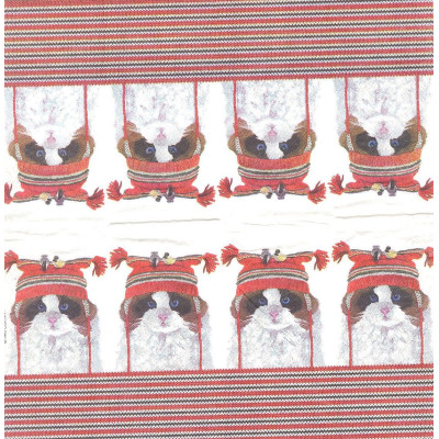 ЖИВдом-33465 21*21